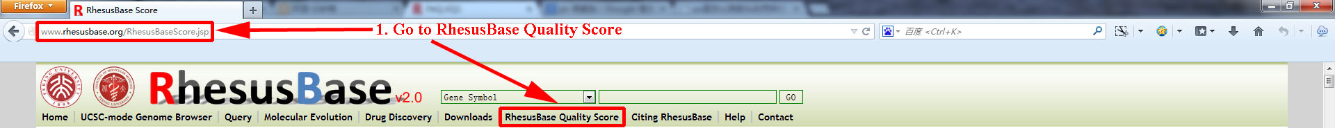entry to RhesusBase Score paeg
